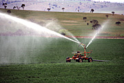 Australia, vic, victoria, rural, rural scene, rural scenes, irrigation, irrigate, irrigates, irrigating, irrigator, irrigators, spray irrigating, spray irrigating, spray irrigation, water, machinery, farm, farms, farming, tas, tassie, tasmania, australia.