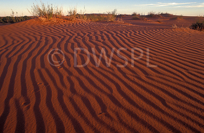 stock photo image: Australia, Australian, Australian desert, Australian deserts, Desert, deserts, desert scenes, sa, south australia, outback, australian outback, outback australia, moomba, moomba gas field, moomba gas fields, dunes, sand, sand dune, sand dunes, moomba, moomba gas field, moomba gas fields, outback, australian outback, outback australia.