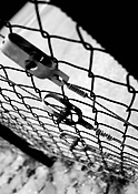 Fence, fences, wire, wire fence, wire fences.