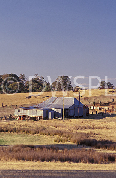 stock photo image: Australia, New South Wales, Kingsvale, farm, farms, farming, farm land, farming land, rural, rural scene, rural scenes, sheep, fence, fences, shed, sheds, shearing shed, shearding sheds, GD39,