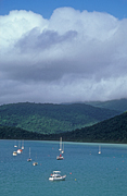 Australia, qld, queensland, conway range, conway range np, conway range national park, national park, national parks, cloud, clouds, boat, boats, boating, yacht, yachts, yachting, mountain, mountains, rainforest, rainforests, forest, forests.