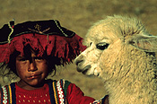 Peru, sacsayhuama, people, child, children, girl, girls, female, females, animal, animals, llama, llama, hat, hats.