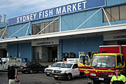 Australia, New South Wales, sydney, market, markets, sydney markets, fish market, fish markets, fish, sign, signs, car, cars, vehicle, vehicles, truck, trucks, dock, docks, architecture.