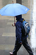 Australia, New South Wales, sydney, rain, rains, raining, wet, umbrella, umbrellas, people, pedestrian, pedestrians, road, roads, sealed, sealed road, sealed roads, man, men, backpack, backpacks.