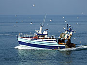 France, normandy, le havre, boat, boats, boating, fishing, fishing boat, fishing boats, commerical fishing, commercial, water, AB71,