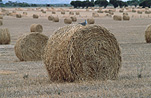 Australia, SA, South Australia, Moana, Rural, Rural Scene, Rural Scenes, Agriculture, farm, farms, Farming, Farmland, farm, farms, hay, bale, bales, baler, balers, hay bale, hay bales, crop, crops, straw, straw bale, straw bales.