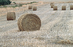 Australia, SA, South Australia, Moana, Rural, Rural Scene, Rural Scenes, Agriculture, farm, farms, Farming, Farmland, farm, farms, hay, bale, bales, baler, balers, hay bale, hay bales, crop, crops, straw, straw bale, straw bales.