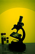 Science, microscope, microscopes.