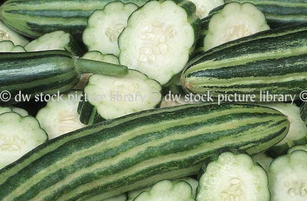 stock photo image: Vegetable, vegetables, cucumber, cucumbers, armenian, armenian cucumber, armenian cucumbers, cucumis, melo, flexuosus, cucumis melo, cucumis melo flexuosus, curcubitaceae.