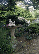 Australia, New South Wales, blue mountains, great dividing range, mount wilson, mt wilson, garden, gardens, tree, trees, birdbath, birdbaths.