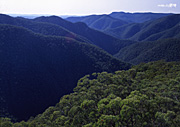 Australia, New South Wales, great dividing range, Kanangra, Kanangra Boyd, Kanangra Boyd NP, Kanangra Boyd National Park, national park, national parks, hill, hills, rolling hill, rolling hills, green hill, green hills, mountain, mountains, mountain range, mountain ranges.