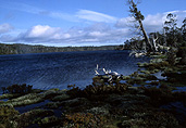 Australia, Tasmania, Tas, Tassie, National Park, National Parks, lake, lakes, adelaide, lake adelaide, water, central plateau, central plateau conservation area.