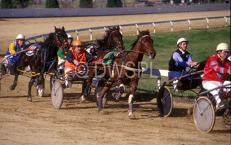 stock photo image: Sport pictures, Sports, trot, trots, trotting, horse trots, race, races, racing, horse, horses, animal, animals, horse racing, horseracing, race, races, racing, jockey, jockeys, bankstown, bankstown trots, trotter, trotters.