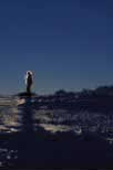 Meteorology, Climate, Weather, winter, winter scene, winter scenes, snow, cold, coldness, snow scene, snow scenes, silhouette, silhouettes, climber, climbing, man, Alps, Vic, Victoria, NSW, Australia, mountains, Australian mountains, snowy mountains, great dividing range,