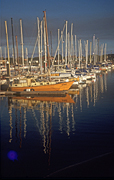 Australia, qld, queensland, mooloolaba, boat, boats, boating, yacht, yachts, yachting, mooring, moorings, moored, marina, marinas, mast, masts.