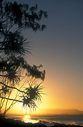 Australia, New South Wales, byron, byron bay, wategoes, wategoes beach, beach, beaches, nsw beaches, new South Wales beaches, coast, coastal, coastline, coastlines, sunset, sunsets, sunrises and sunsets, mood, mood scene, mood scenes, mood, mood scene, mood scenes, tree, trees.