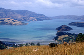 Pacific islands, new zealand, nz, akaroa, akaroa bay, coast, coasts, coastline, coastlines, banks, banks peninsula.