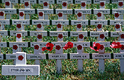 Australia, SA, South Australia, Adelaide, memorial, memorials, war memorial, war memorials, adelaide war memorial, remembrance, remembrance day, remembrance days, armistice, armistice day, armistice days, cross, crosses, poppy, poppies, flanders, flanders poppy, flanders poppies, war, wars, world war 1, world war one, world war 2, world ward two, WW1, WW2.