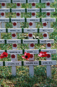 Australia, SA, South Australia, Adelaide, memorial, memorials, war memorial, war memorials, adelaide war memorial, remembrance, remembrance day, remembrance days, armistice, armistice day, armistice days, cross, crosses, poppy, poppies, flanders, flanders poppy, flanders poppies, war, wars, world war 1, world war one, world war 2, world ward two, WW1, WW2.