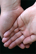 Religion, religions, religious, religious building, religious buildings, catholic, catholics, catholic religion, roman catholic, roman catholics, roman catholic church, roman catholicism, christianity, christian, christians, faith, spirituality, worship, worships, worshipping, people, man, men, male, males, catholic church, catholic churches, priest, priests, hand, hands, communion, holy communion, wafer, wafers, communion wafer, communion wafers, holy communion wafer, holy communion wafers, MM49,