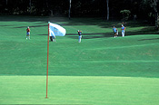 Sport pictures, Sports, golf, golf game, golf games, golf course, golf courses, people, men, man, male, outdoors, queensland, qld, australia.