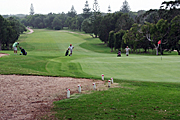 Sport pictures, Sports, golf, golf game, golf games, golf course, golf courses, people, golfer, golfers, australia, stroke, strokes, man, men, male, males.