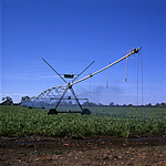 Farming, Farmland, farm, farms, Agriculture, potato, potatoes, irrigate, irrigates, irrigation, irrigating, rural, rural scene, rural scenes, spray irrigating, irrigator, irrigators, spray irrigation, Australia, Victoria, Vic, Koroit.