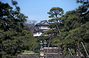 Asia, japan, tokyo, imperial palace, palace, palaces, kokyo, koyo gaien, nijubashi, meganebashi, eyeglass bridge, bridge, bridges, architecture, tree, trees, SS46