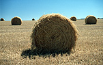 Australia, SA, South Australia, Moana, Rural, Rural Scene, Rural Scenes, Agriculture, farm, farms, Farming, Farmland, farm, farms, hay, bale, bales, baler, balers, hay bale, hay bales, crop, crops, straw, straw bale, straw bales.