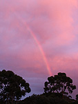 Climate, weather, rainbow, rainbows, tree, trees, silhouette, silhouettes, sunset, sunsets, sunrise, sunrises, sunrise and sunsets, WA, Western Australia, Australia.