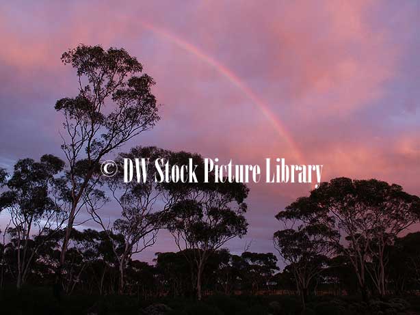 Free Images Of Rainbows. FREE IMAGE OF: RAINBOW