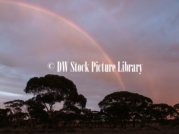 Free Images Of Rainbows. FREE IMAGE OF: RAINBOW