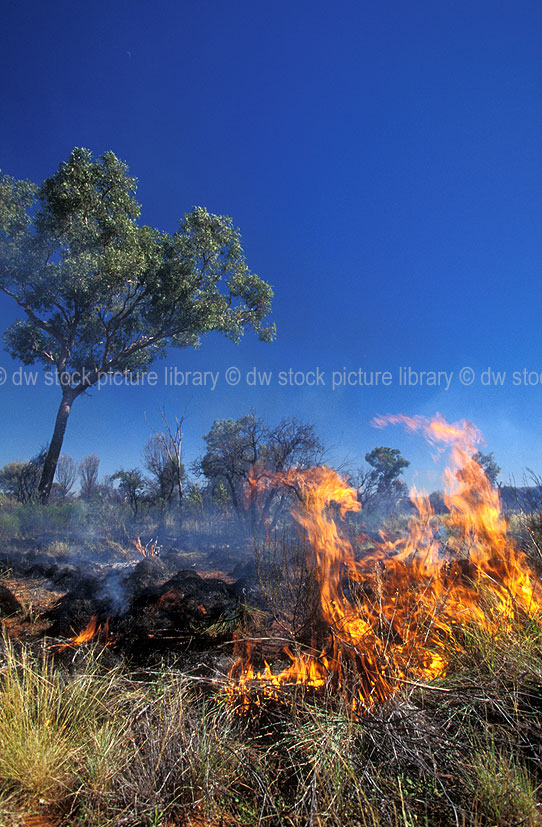 stock photo image: Australia, Australian, Australian desert, Australian deserts, western australia, wa, desert, deserts, desert scenes, great victoria, great victoria desert, fire, fires, bushfire, bushfires, disaster, disasters, natural disaster, natural disasters, flame, flames, smoke.