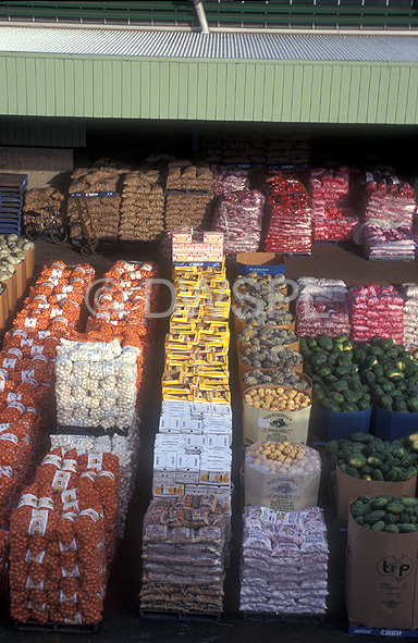 stock photo image: Australia, New South Wales, Sydney, Flemington, Flemingtons, Flemington market, Flemington markets, market, markets, fruit and vegetable market, fruit and vegetable markets, vegetable, vegetables, boxes of vegetables, box of vegetables, box, boxes, carton, cartons, cardboard box, carboard boxes, packaging.