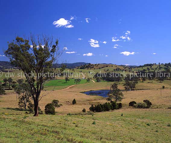 stock photo image: Australia, New South Wales, Gloucester, rural, rural scene, rural scenes, farming, farm land, farming land, Bucketts Mountains, barrington tops, great dividing range, World Heritage site, World heritage sites.