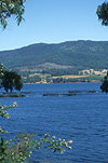 Australia, Tasmania, Tassie, Tas, fish farm, fish farms, fish farming, water, water scene, water scenes.