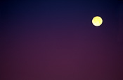 Moon, moons, the moon, sky, skies, sky scene, sky scenes, planet, planets, terrestrial planet.