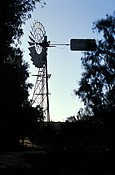 Australia, wa, western australia, goldfields, windmill, windmills, tree, trees, outback, australian outback, outback australia, silhouette, silhouettes.