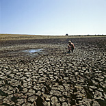 Climate, weather, drought, drought scene, drought scenes, disasters, natural disasters, Victoria, rural, rural scene, rural scenes, Vic, Australia, man, men, occupation, occupations, male, males, farmer, farmers, farm, farms, farming, farmland, farming land, mud, dried mud, cracked mud.