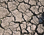 Climate, weather, drought, drought scene, drought scenes, disasters, natural disasters.