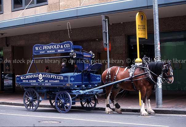 stock photo image: Animal, animals, horse, horses, draft, draft horse, draft horses, clydesdale, clydesdales, clydesdale horse, clydesdale horses, wagon, wagons, cart, carts, penfold, penfolds, wc penfold, sydney, nsw, new South Wales, australia, transport, transportation, vehicle, vehicles.