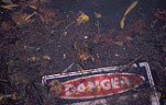 Pollution, pollutants, rubbish, garbage, environmental damage, sign, signs, danger sign, danger signs, water pollution, warning, warning sign, warning signs, Torrens River, danger, dangerous.