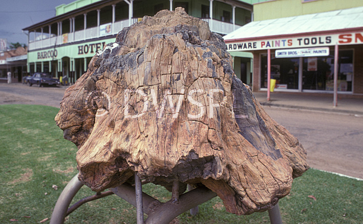 stock photo image: Australia, qld, queensland, blackall, fossil, fossils, tree, trees, black stump, petrified, petrified wood.