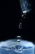 Water, drop, drops, droplet, droplets, rain, raindrop, raindrops, rain drop, rain drops, wet, water drop, water droplets.