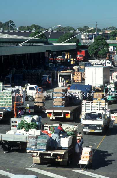 stock photo image: Australia, new South Wales, nsw, sydney, flemington, flemington market, flemington markets, market, markets, truck, trucks, transport, transportation, vehicle, vehicles, road, roads, sealed, sealed road, sealed roads.