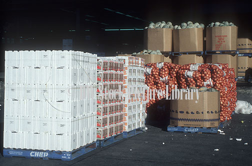 stock photo image: Sydney, Flemingtons, Flemington market, Flemington markets, flemington, market, markets, vegetable, vegetables, boxes of vegetables, box of vegetables, box, boxes, carton, cartons, cardboard box, carboard boxes, packaging.