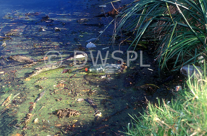 stock photo image: Australia, Pollution, pollute, pollutants, polluting, water, water pollution, waterway, waterways, rubbish, garbage, environmental damage, littered, litter, litters, littering.