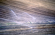 Australia, sa, south australia, adelaide, adelaide hills, rural, rural scene, rural scenes, irrigator, irrigators, irrigation, irrigate, irrigates, irrigating, field, fields.