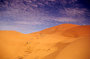 Morocco, desert, deserts, desert scenes, trek, trekkers, dune, dunes, sand dune, sand dunes, merzouga, merzouga sand sea.