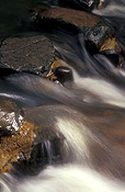 Australia, queensland, qld, numinbah, numinbah state forest, rainforest, rainforests, forest, forests, rock, rocks, nerang, nerang river, river, rivers, creek, creeks, stream, streams, water.